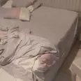 الصورة الأولى