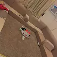الصورة الأولى