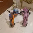 الصورة الأولى