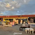 الصورة الأولى
