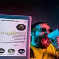 الصورة الأولى