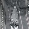 First Image