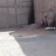 الصورة الأولى