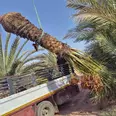 الصورة الأولى