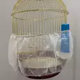 First Image