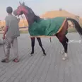 الصورة الأولى