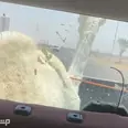 الصورة الأولى