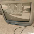 الصورة الأولى