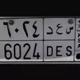 الصورة الأولى