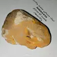 First Image