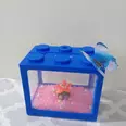 First Image
