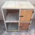 First Image