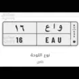 الصورة الأولى