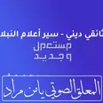 الصورة الأولى