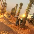 الصورة الأولى