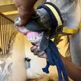 الصورة الأولى