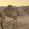 First Image