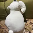 الصورة الأولى