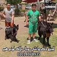 الصورة الأولى