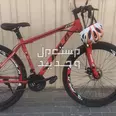 الصورة الأولى