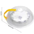 First Image