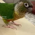 الصورة الأولى