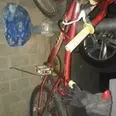 الصورة الأولى