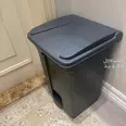 First Image