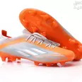 الصورة الأولى