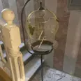 الصورة الأولى