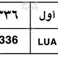 الصورة الأولى