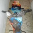 الصورة الأولى