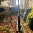 الصورة الأولى