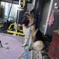 الصورة الأولى
