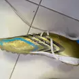 الصورة الأولى