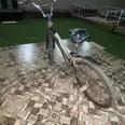 الصورة الأولى