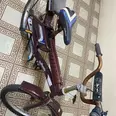 الصورة الأولى