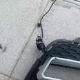 First Image