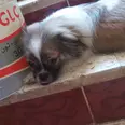 الصورة الأولى