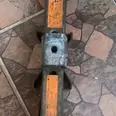 First Image