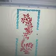 First Image