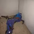 First Image