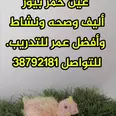 الصورة الأولى