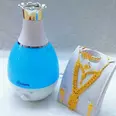 الصورة الأولى