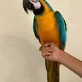 الصورة الأولى
