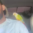 الصورة الأولى