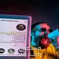 الصورة الأولى