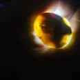 First Image