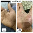 الصورة الأولى
