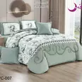 الصورة الأولى